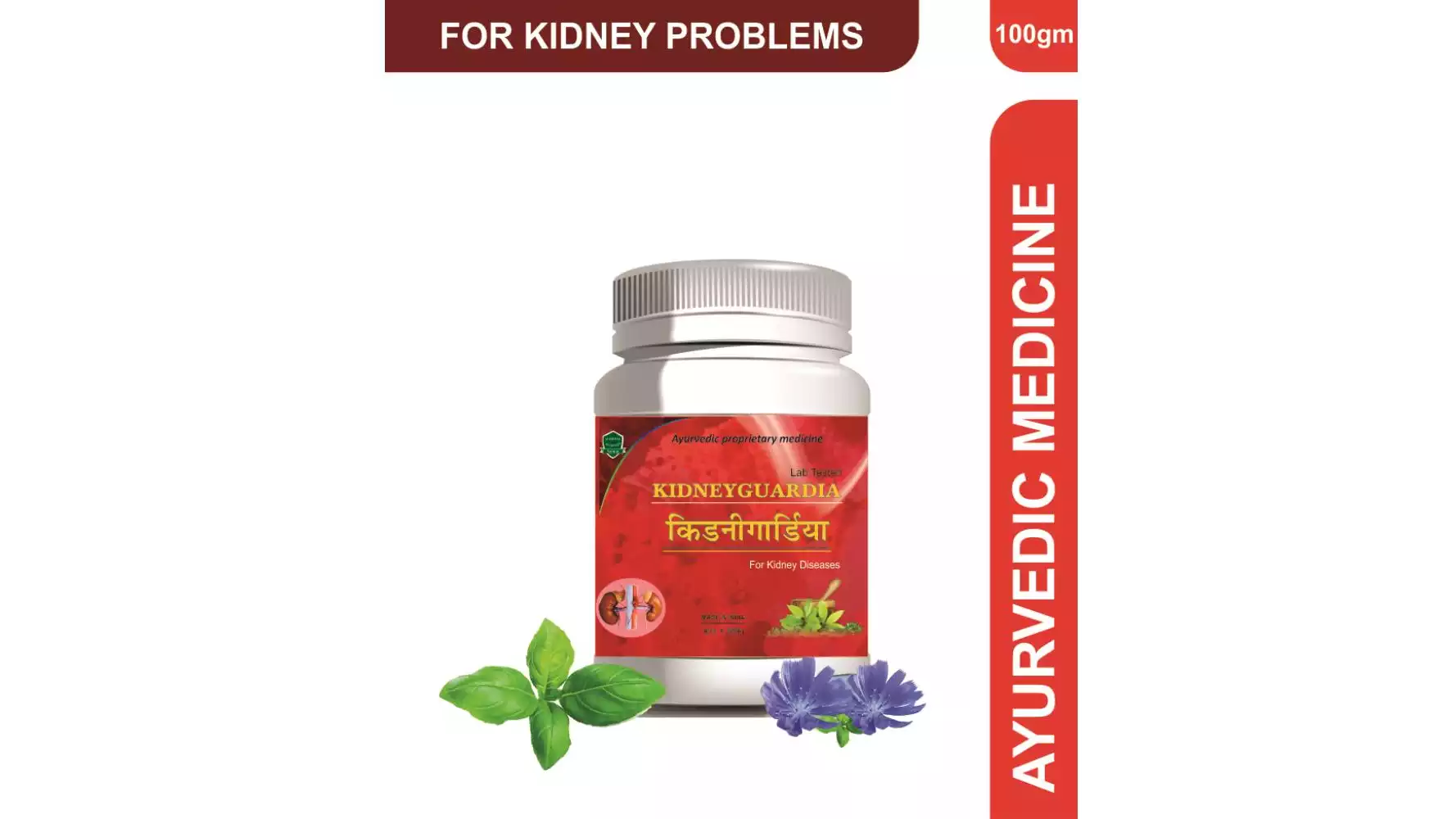 A&A Ayurvedic Kidneyguardia Powder (100g)
