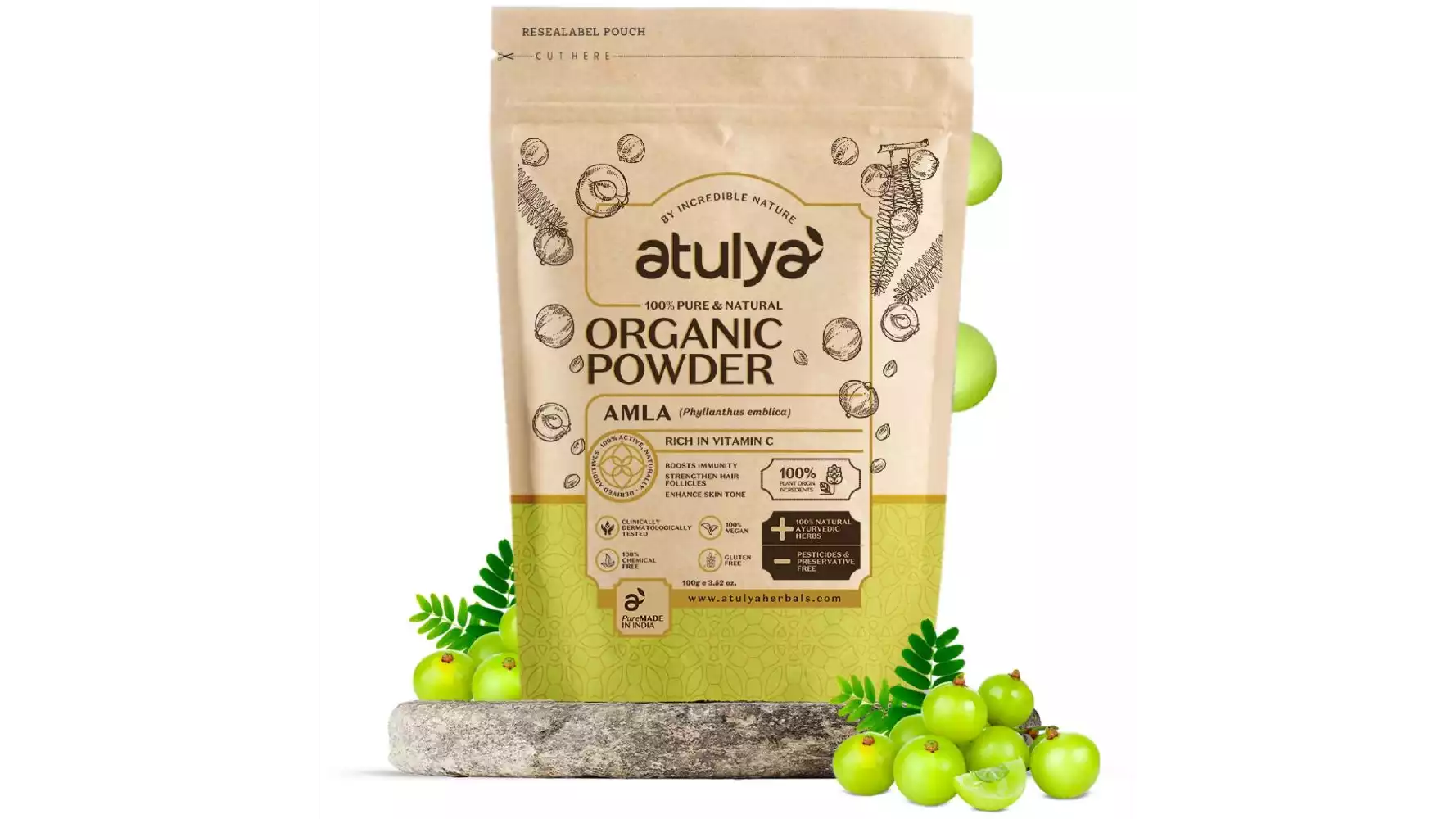 Atulya Amla Organic Powder (100g)