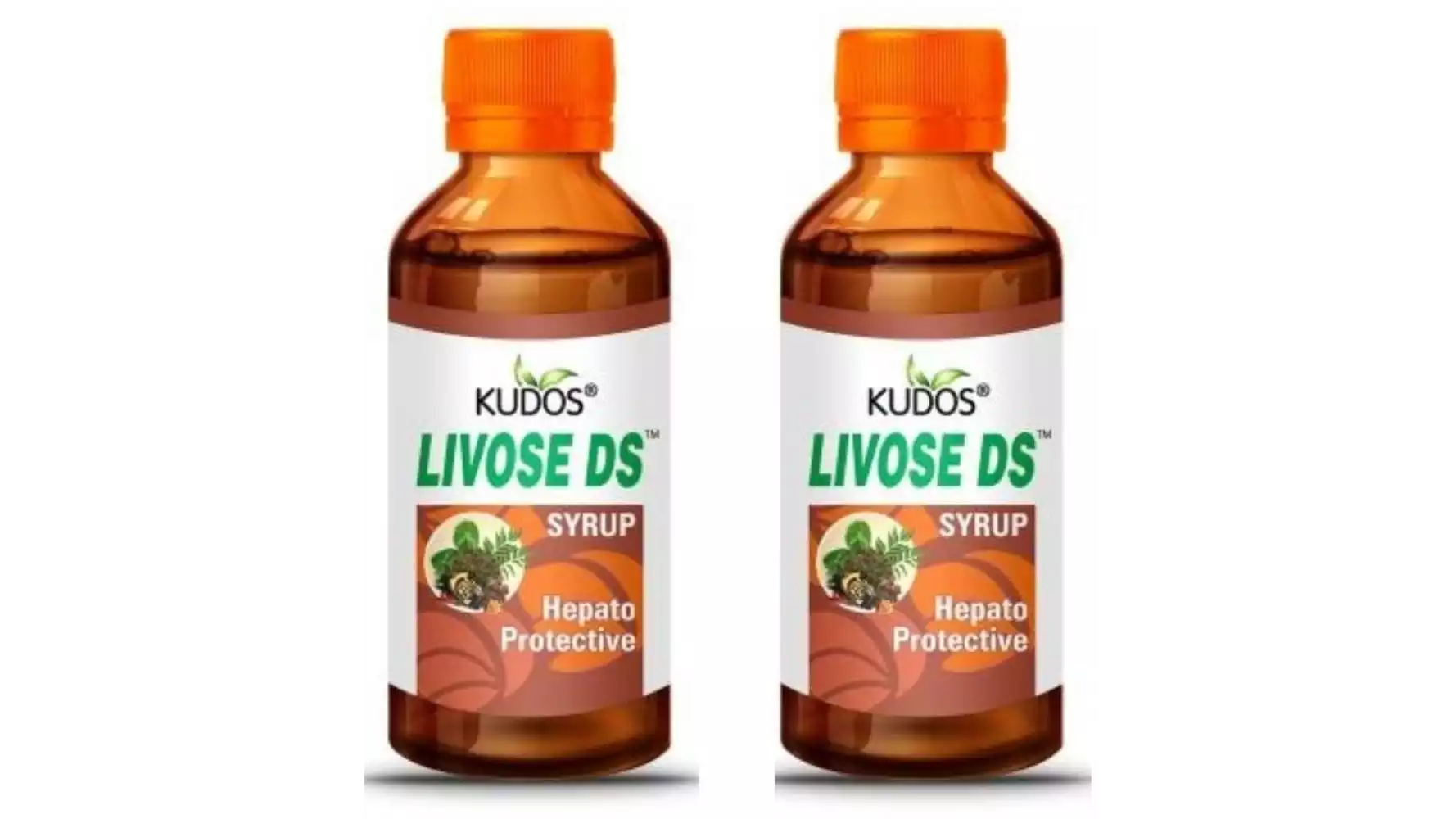 Kudos Livose DS Syrup (250ml, Pack of 2)