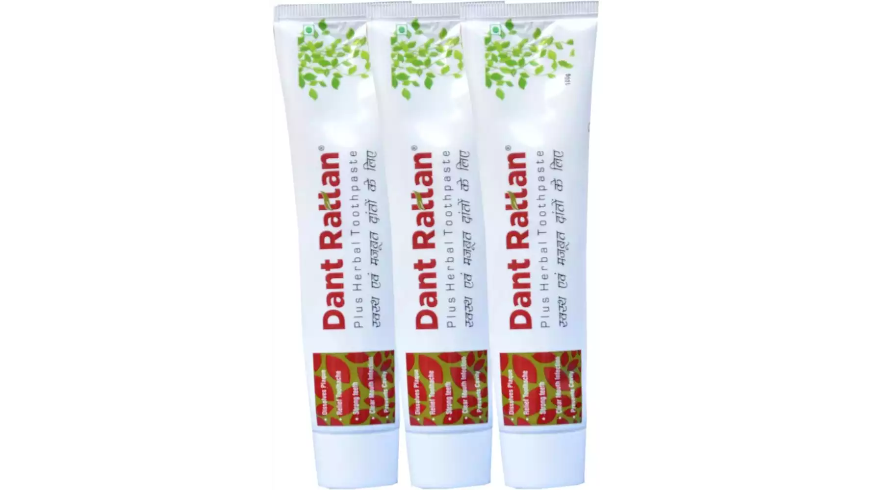Rajni Herbals Dant Rattan Herbal Plus Toothpaste (100g, Pack of 3)