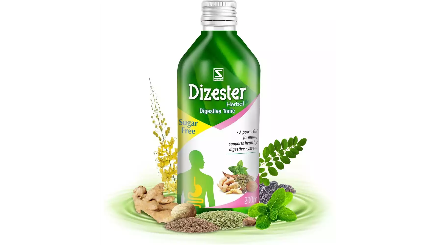 Willmar Schwabe India Dizester Herbal (200ml)