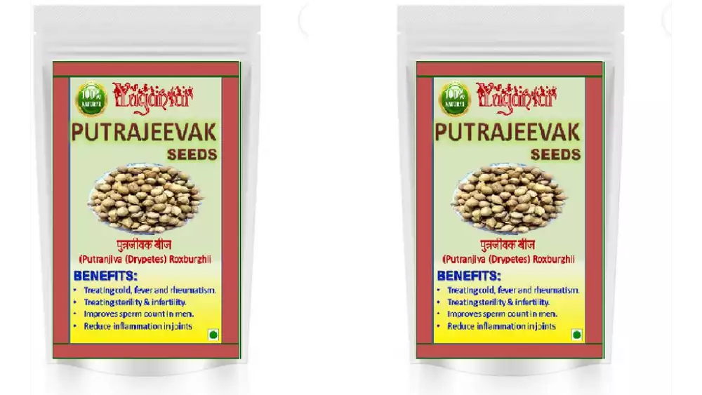 Yugantar Putrajeevak Seeds (100g, Pack of 2)