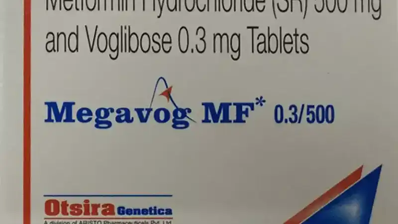 Megavog MF 0.3/500 Tablet SR